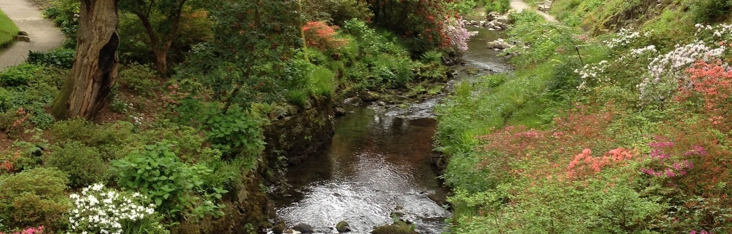 Ornamental gardens pen y craig