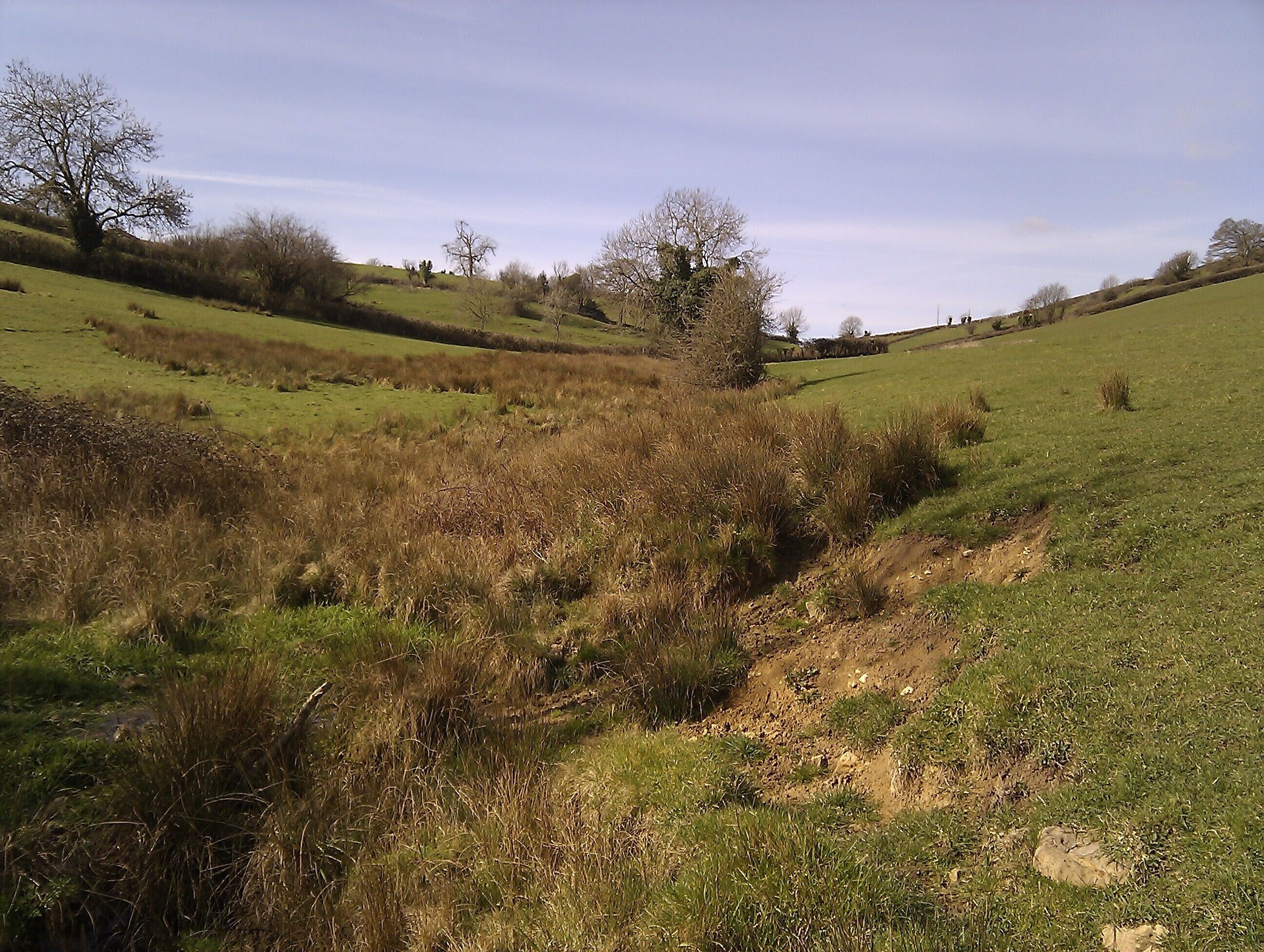 Secluded Valley, Dundry.