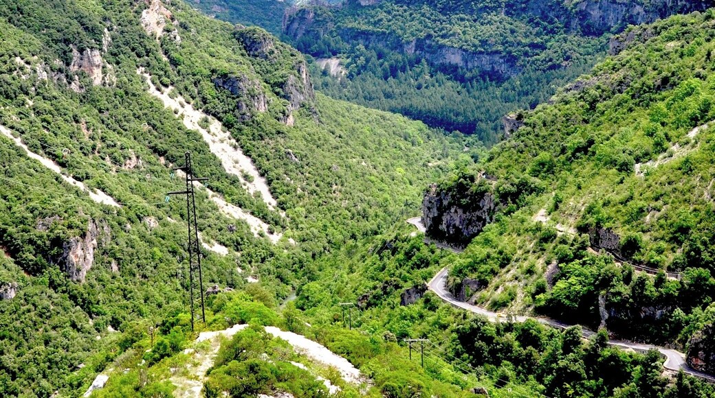 We found ourselves driving along this gorgeous gorge by a lucky accident. It wasn't the Gorges du Verdon, or even the nearby Gorges du Cevennes but still pretty amazing.
