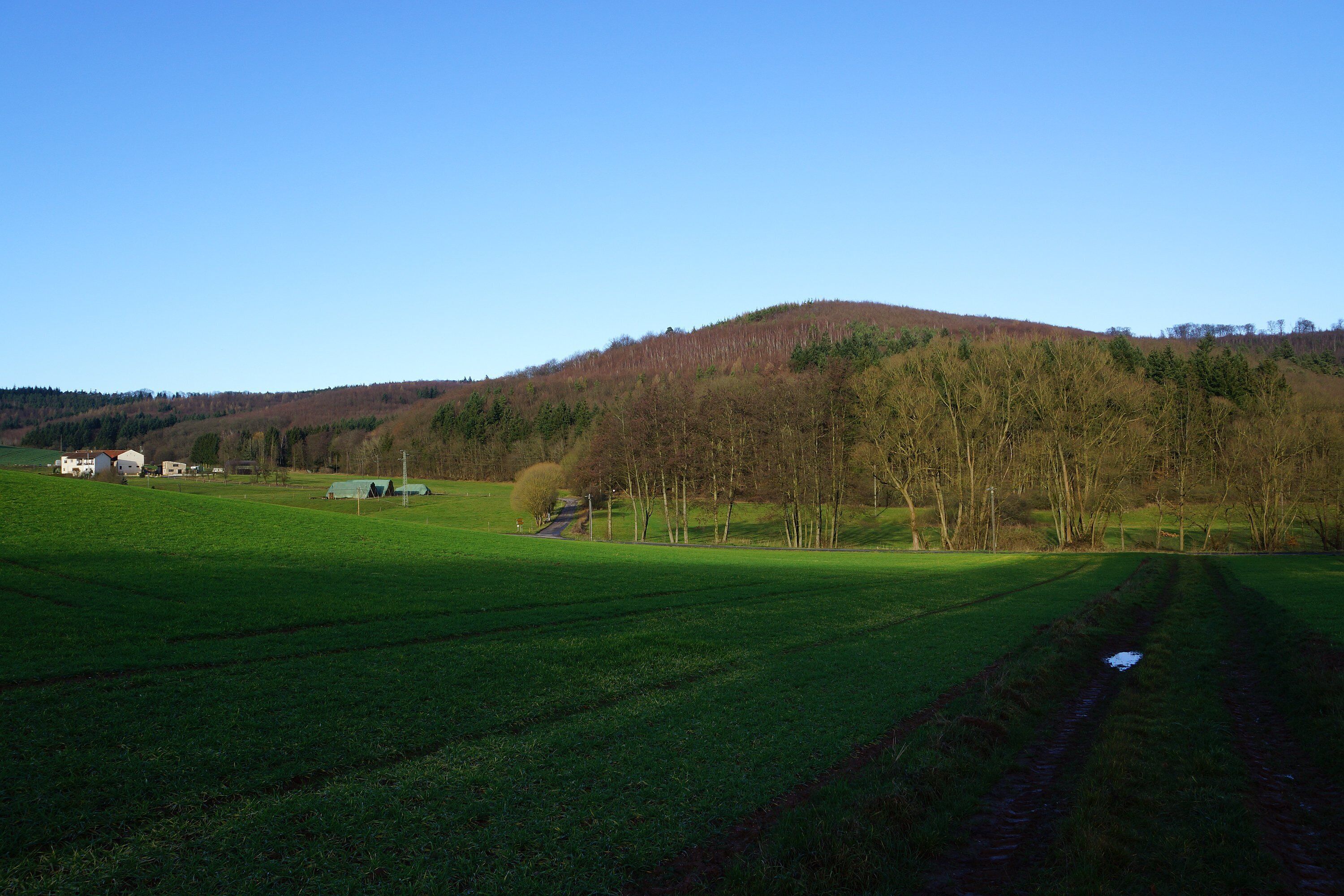 Klauserkopf und Clauserhof bei Ramsen (Pfalz)