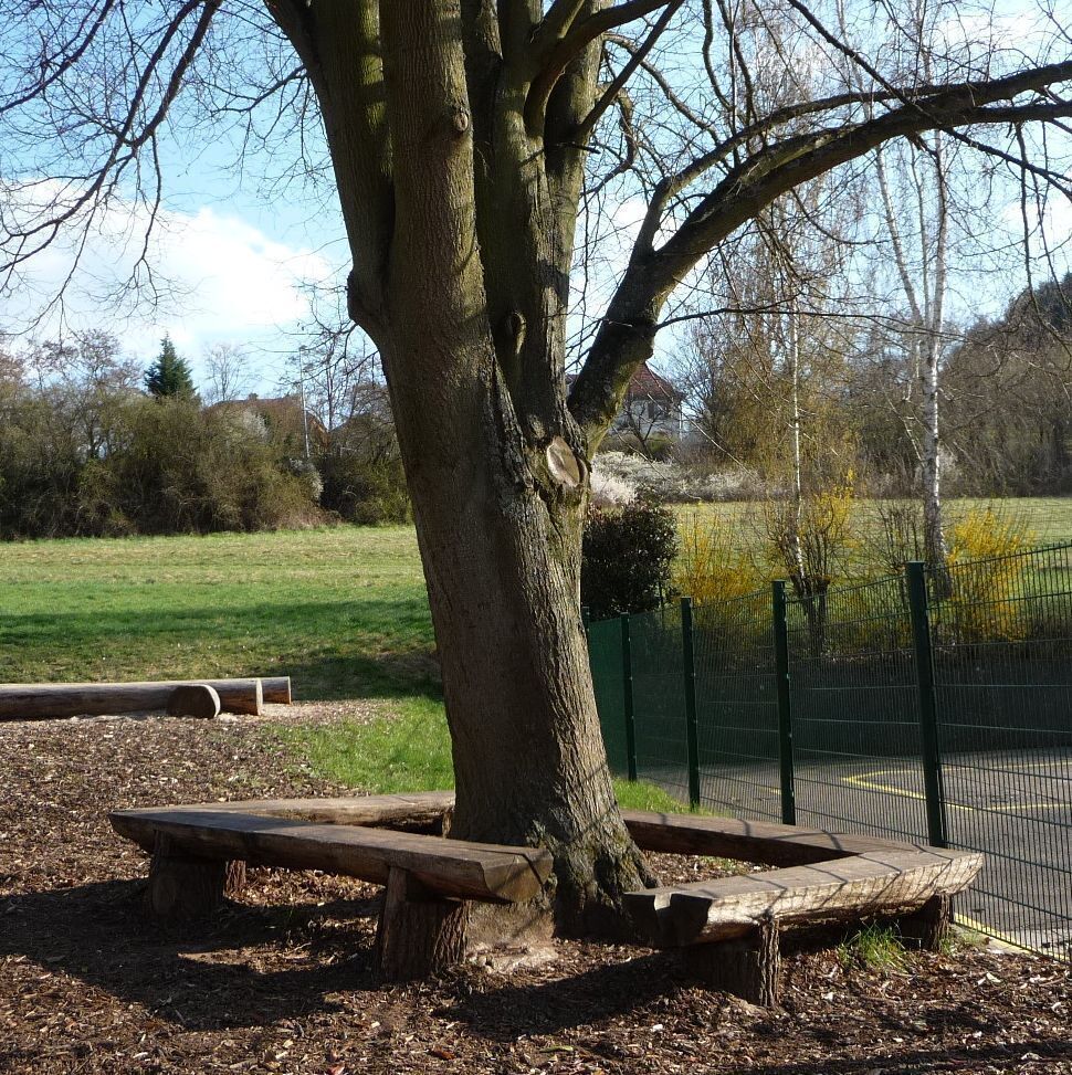 bebankter Baum an der Grundschule