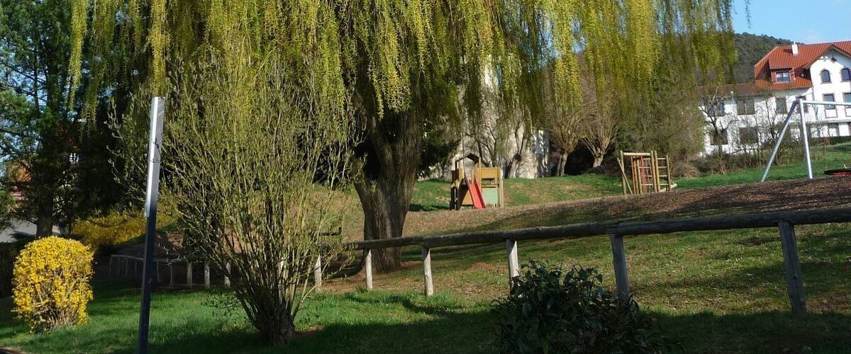 A weeping willow tree in a park with playground equipment and a building in the background.
