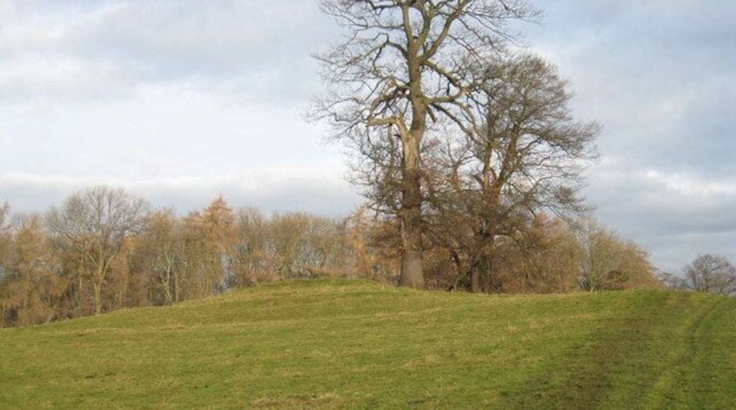 Source description says: "Betty Watson's Hill near Piercebridge. Much of the land in this locality is quite flat. One exception to this is Betty Watson's Hill (shown here) which lies just to the east of Cliffe Hall. This photograph was taken from the public footpath (which runs over the hill) looking in a northerly direction towards Piercebridge. The River Tees lies just beyond the trees that can be seen in the background of the picture." This site is in the area of Cliffe, Richmondshire.
