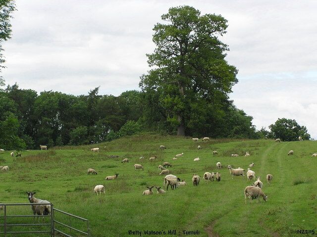 Source description says: "Betty Watson's Hill : Tumulus. One of three Tumuli in the area."