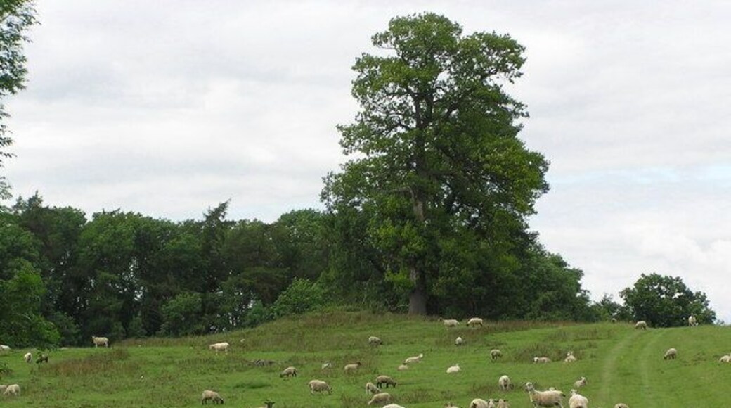 Source description says: "Betty Watson's Hill : Tumulus. One of three Tumuli in the area."