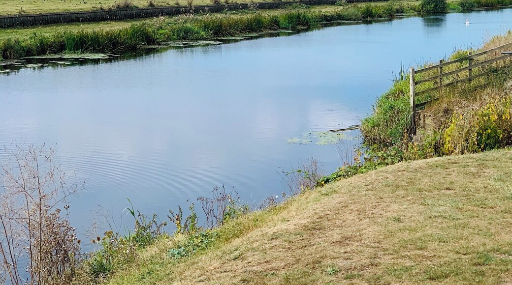 Down by the River Rother