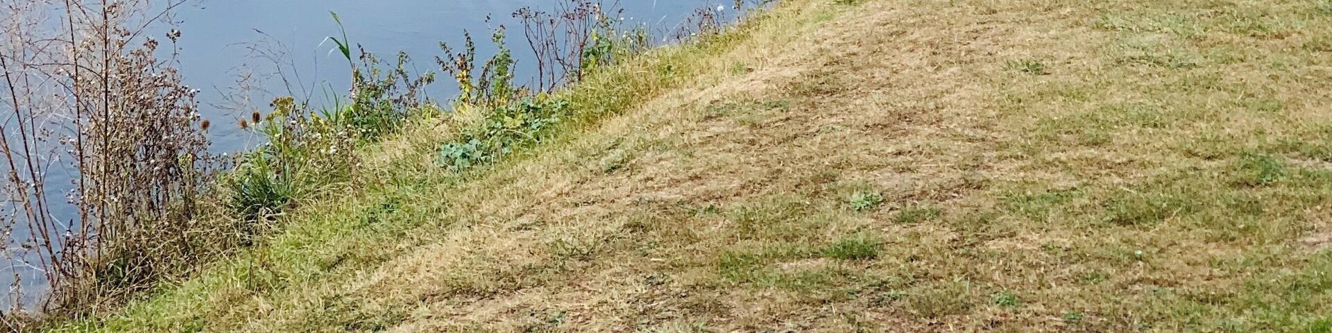 Down by the River Rother