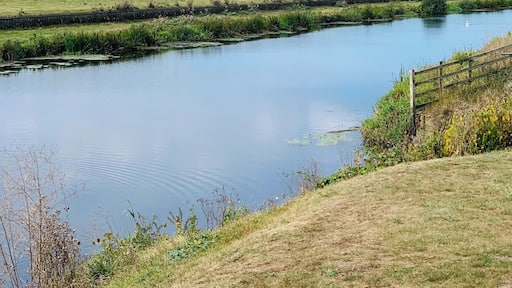 Down by the River Rother