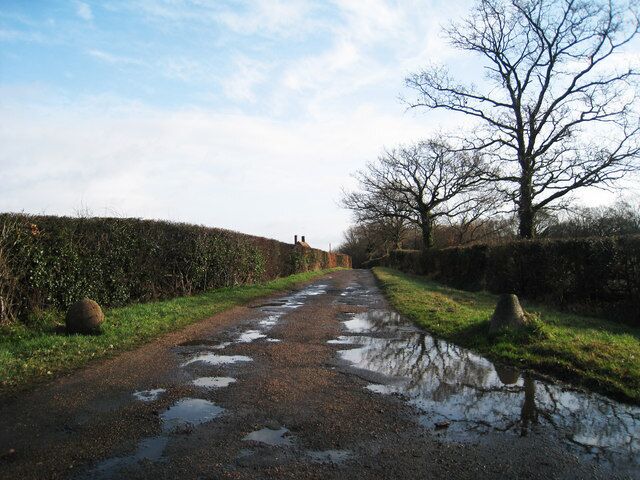 Un camino rural con charcos, setos y árboles sin hojas.