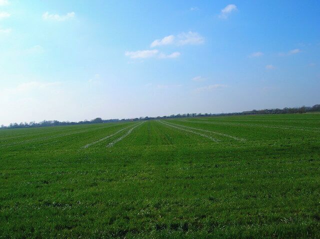 Field near Colworth. Looking west, the course of the old canal has been ploughed over here and heads to the left.
