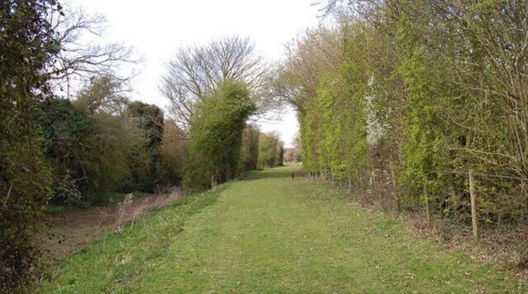 Portsmouth to Arundel Canal Canal bed and towpath of the Portsmouth to Arundel Canal. Opened 1823 and this section was closed in 1847.