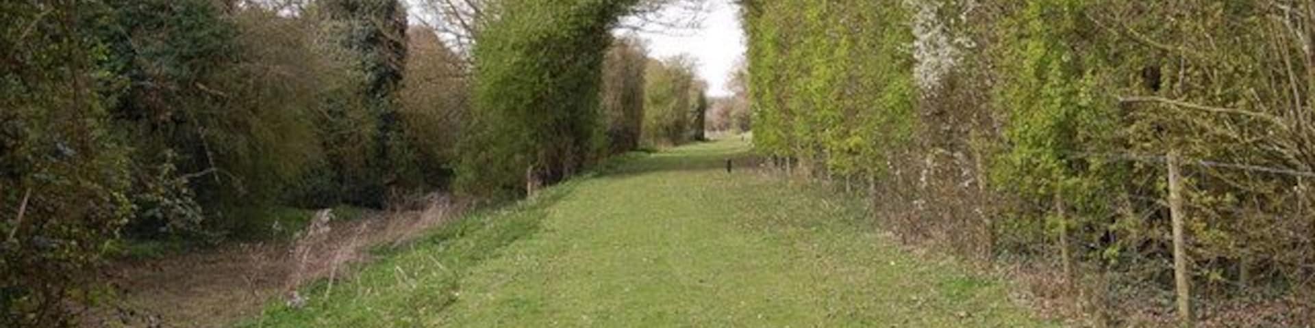 Portsmouth to Arundel Canal Canal bed and towpath of the Portsmouth to Arundel Canal. Opened 1823 and this section was closed in 1847.