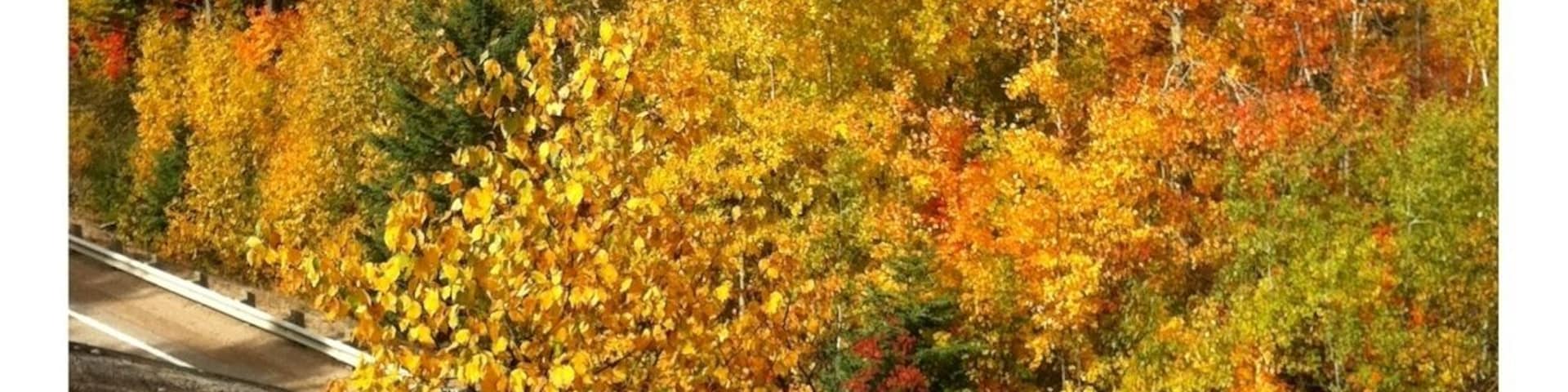The Lookout. What could be better than Fall in Ontario?