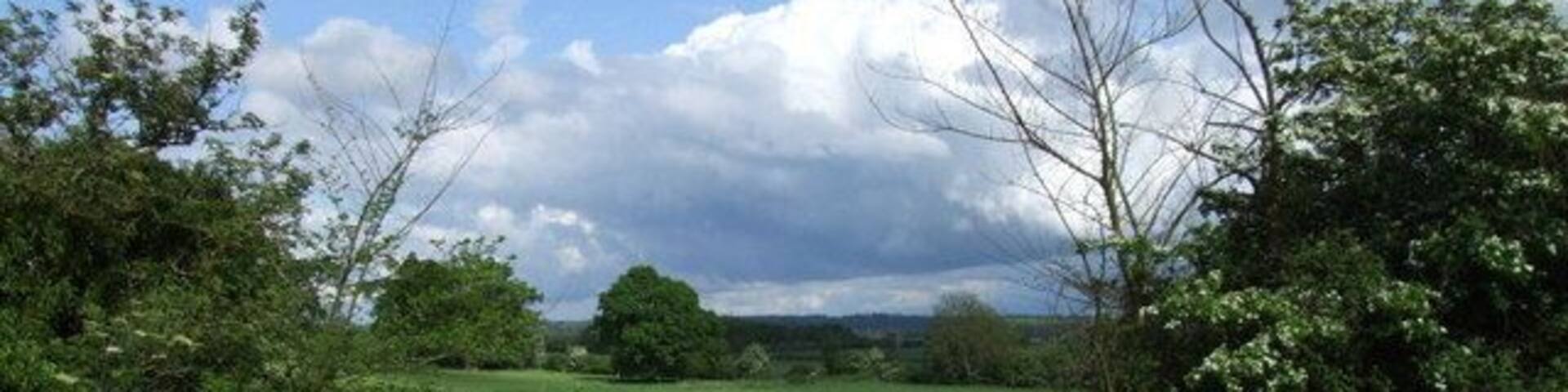 A gate and field near Moggerhanger