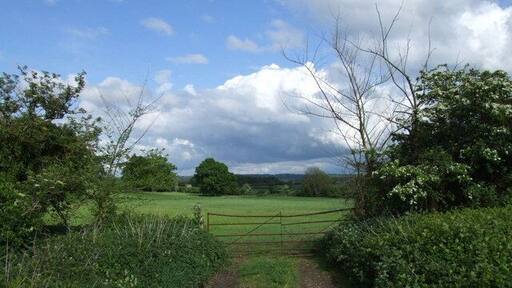 A gate and field near Moggerhanger