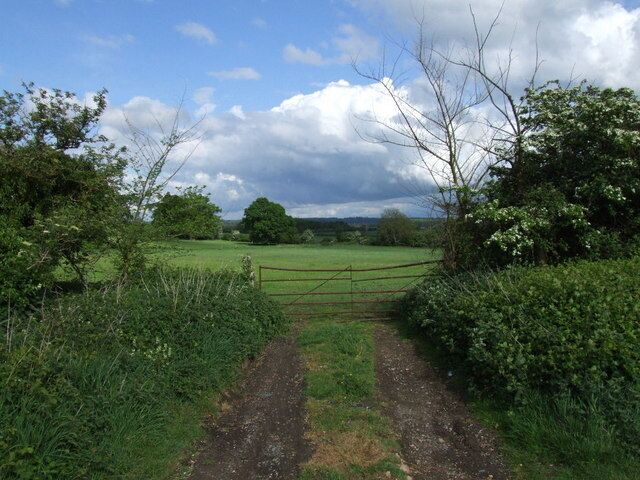 A rural path leading to a gated field with lush greenery and a cloudy sky.