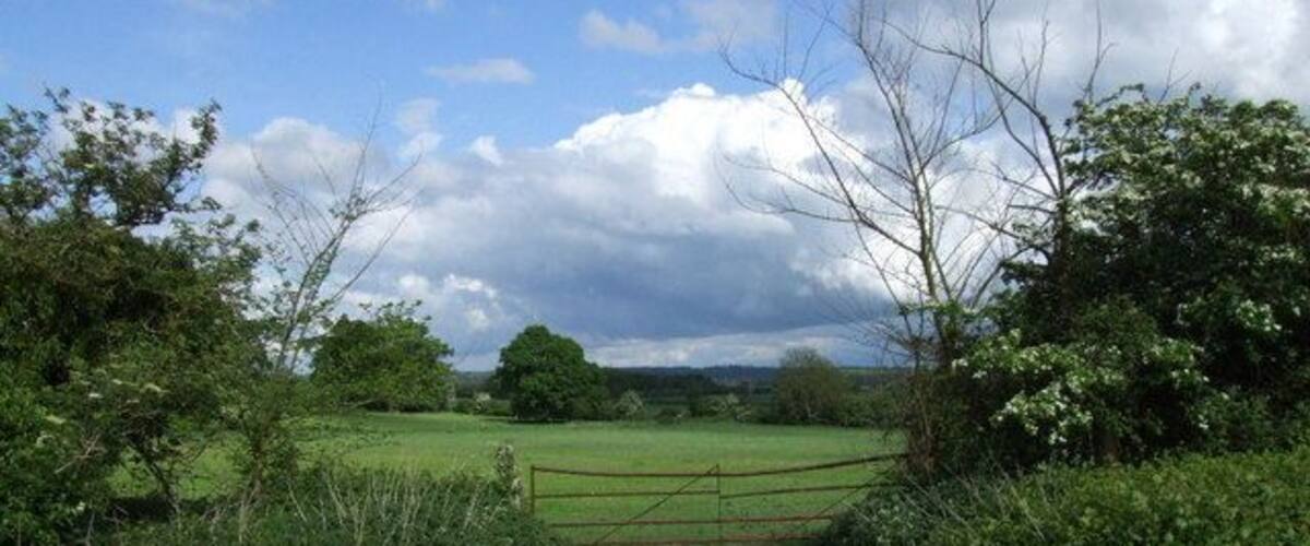 A rural path leading to a gated field with lush greenery and a cloudy sky.