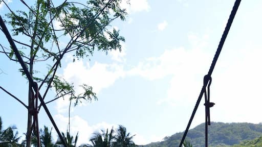 Bridges are made to connect worlds.