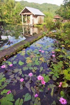 Adams is a one barangay municipality in the province of Ilocos Norte. A totally chill place, literally and figuratively. Surrounded by mountains, water abound, rivers flow swiftly with several waterfalls in the area. Another place added to my list of places that I want to go back to.