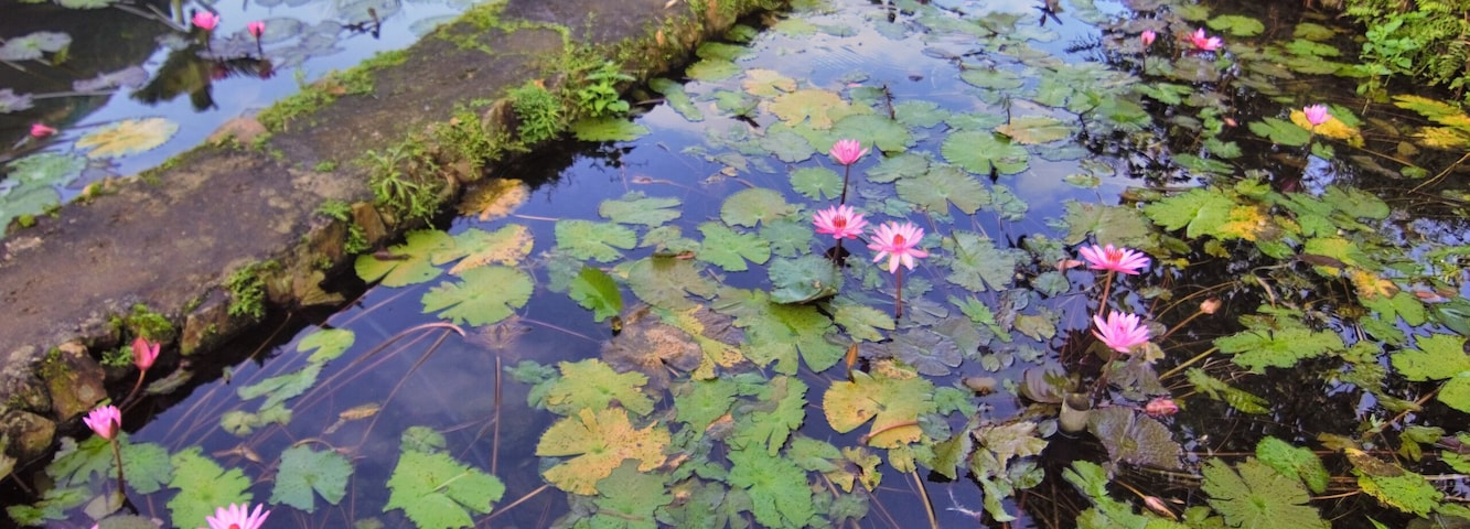 Adams is a one barangay municipality in the province of Ilocos Norte. A totally chill place, literally and figuratively. Surrounded by mountains, water abound, rivers flow swiftly with several waterfalls in the area. Another place added to my list of places that I want to go back to.