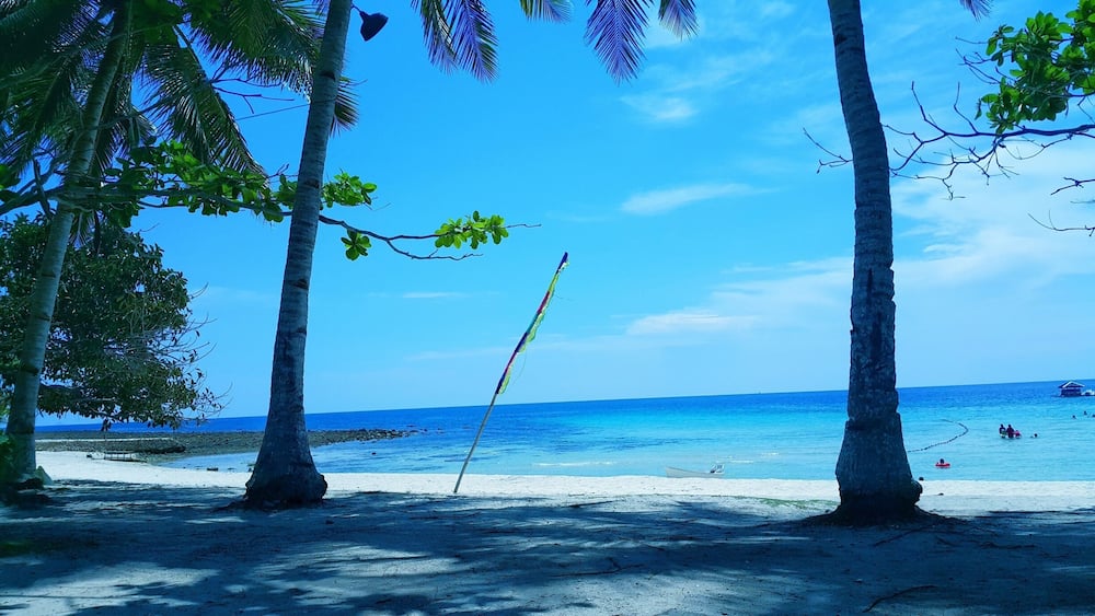 Ein Strand mit Palmen und klarem, blauem Wasser.
