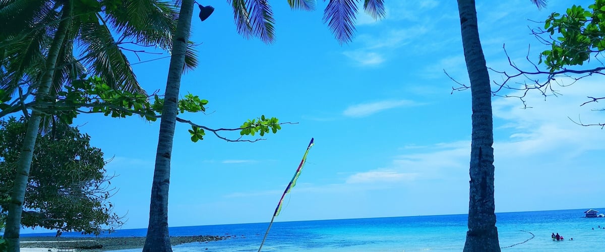A beach with palm trees and clear blue water.