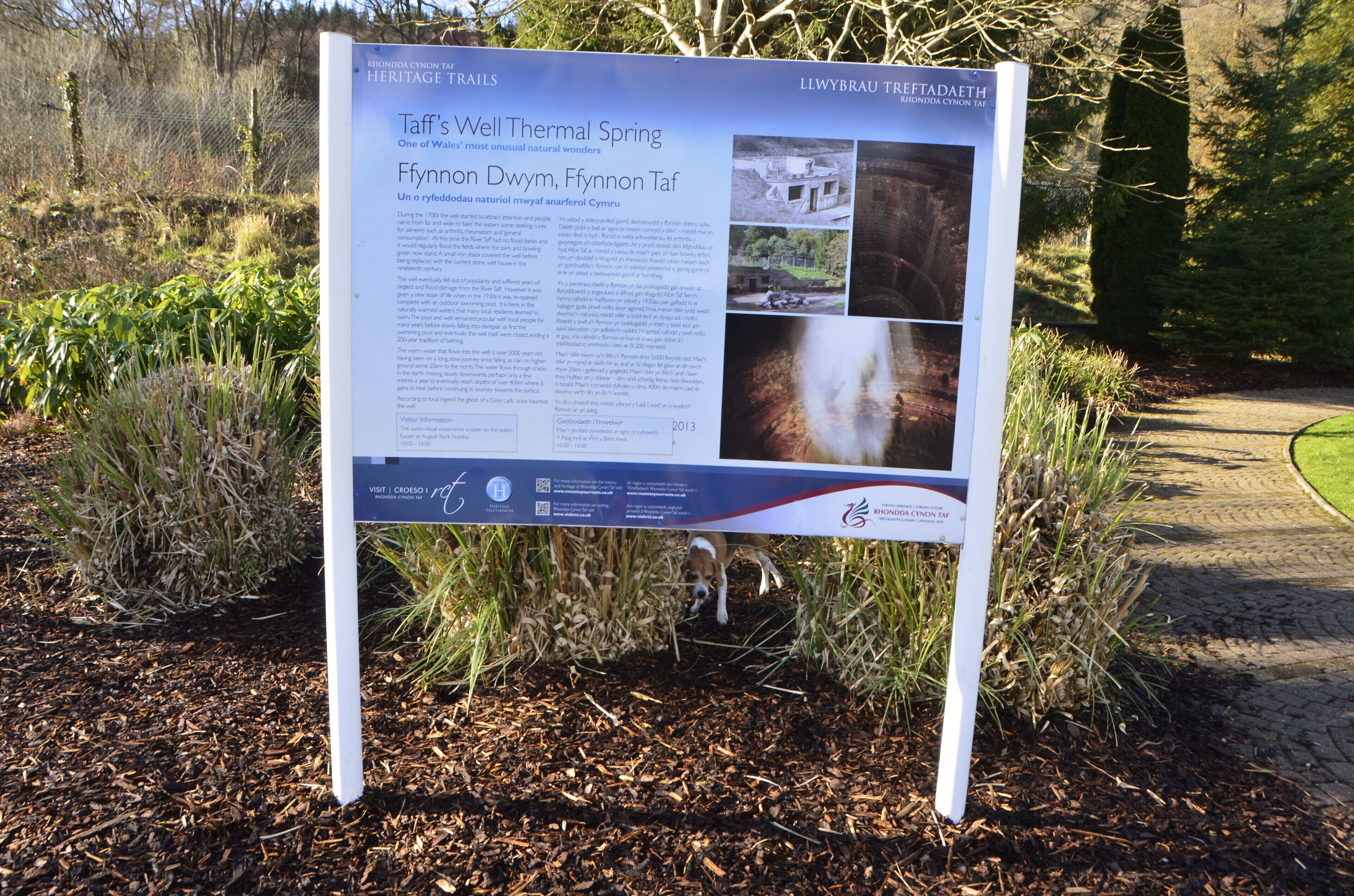 Taffs Well Thermal Spring situated in South Wales, UK.