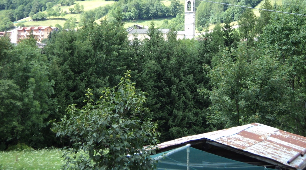 Campanile tra il verde