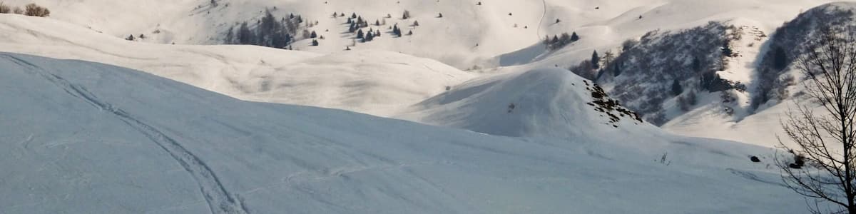 M.Campione e M.Campioncino