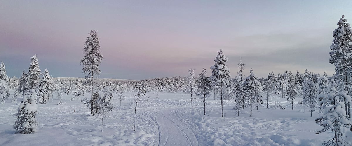 A snowy landscape with a clear path and snow-covered trees.