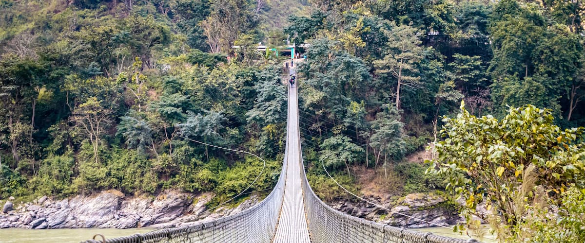 A suspension bridge with a netted railing, surrounded by dense forest and a river.