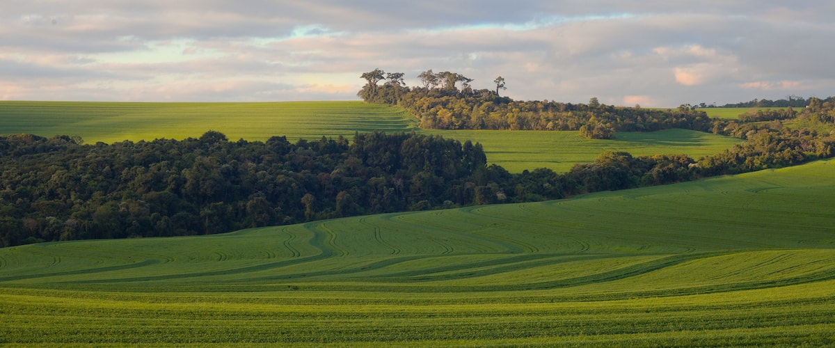 Rolling green fields, a forested hill, and a cloudy sky.