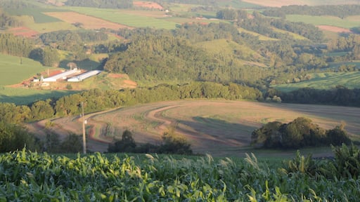 Beautiful field - Jandaia do Sul - Paraná - Brazil