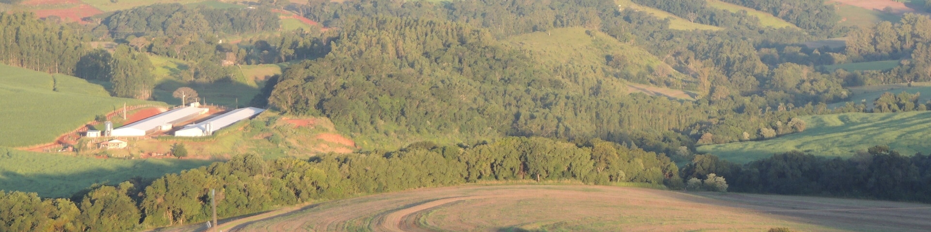 Beautiful field - Jandaia do Sul - Paraná - Brazil