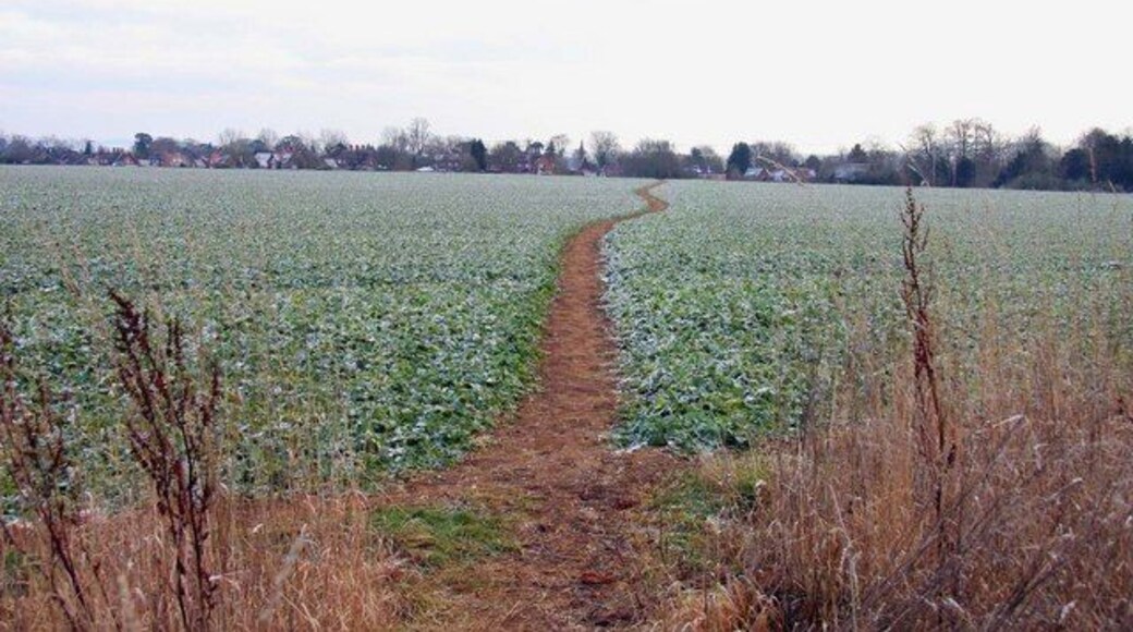 Footpath across the field