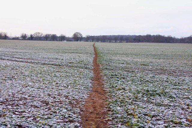 Footpath across the field