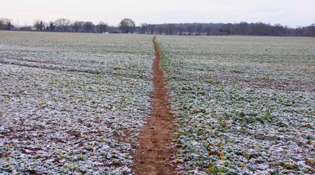 Footpath across the field