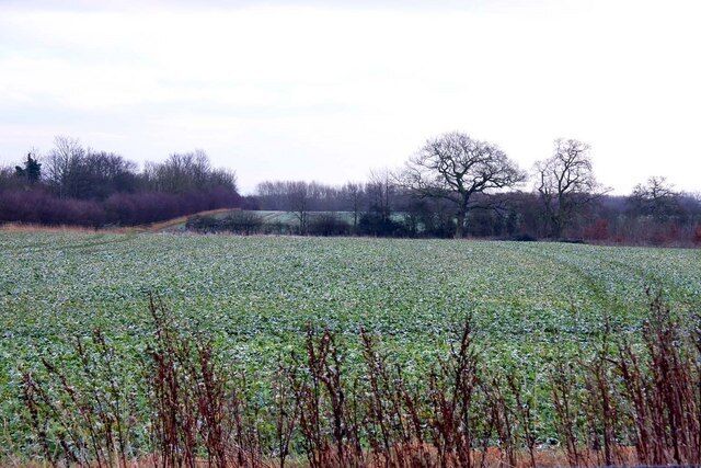 Arable fields by the A4074