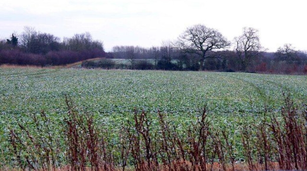 Arable fields by the A4074