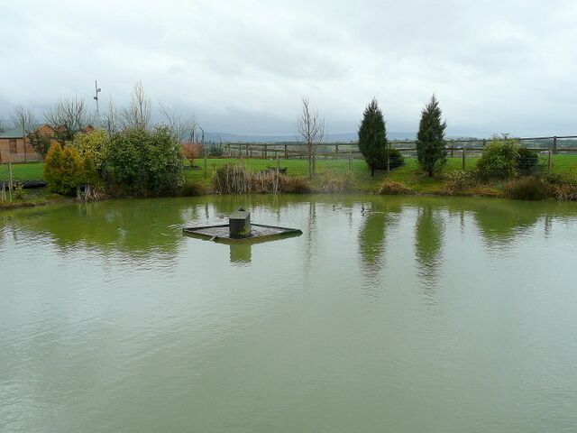 Ornamental pond at Highfield Garden World Looking south-west with the southern Cotswold scarp visible in the drizzly distance. Note the duck house.