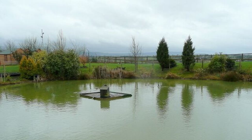 Ornamental pond at Highfield Garden World Looking south-west with the southern Cotswold scarp visible in the drizzly distance. Note the duck house.