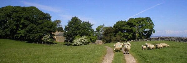 Threaplands. Footpath towards Threaplands farm.