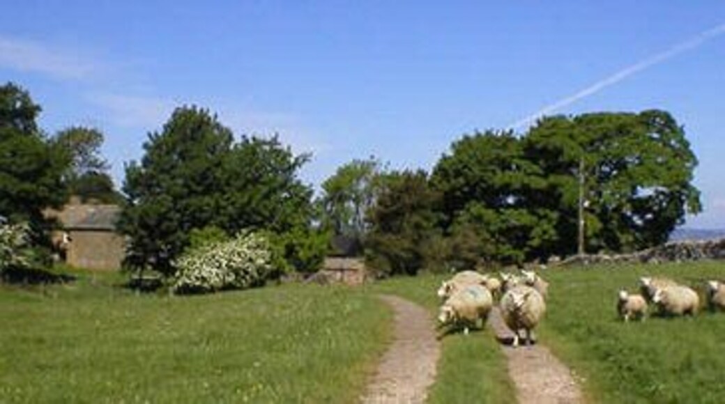 Threaplands. Footpath towards Threaplands farm.