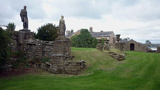 The Image Garden, Reagill