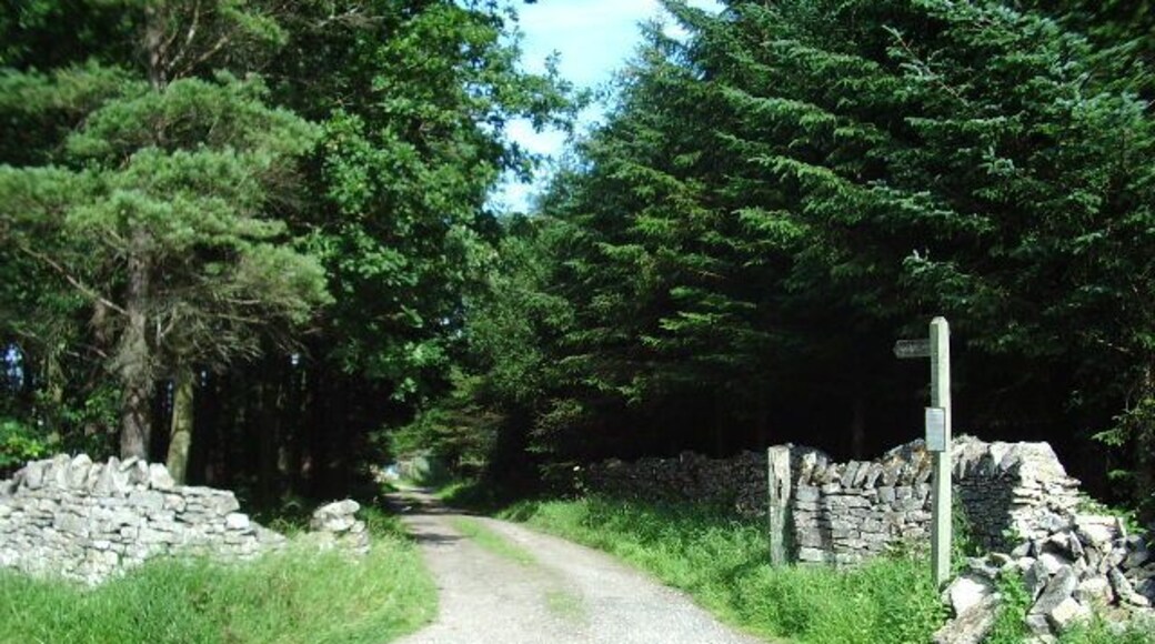 The Road to Reagill Grange. The sign pinned to the footpath post, asks if anyone who sees a grey squirrel in the area to ring a number and to say where they have seen it