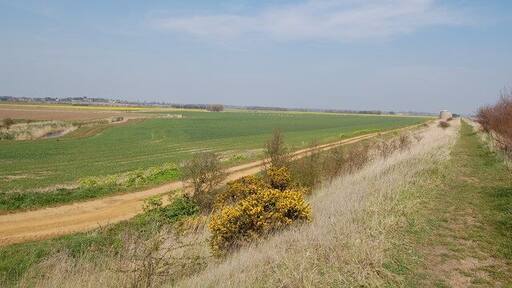 Field near Bawdsey
