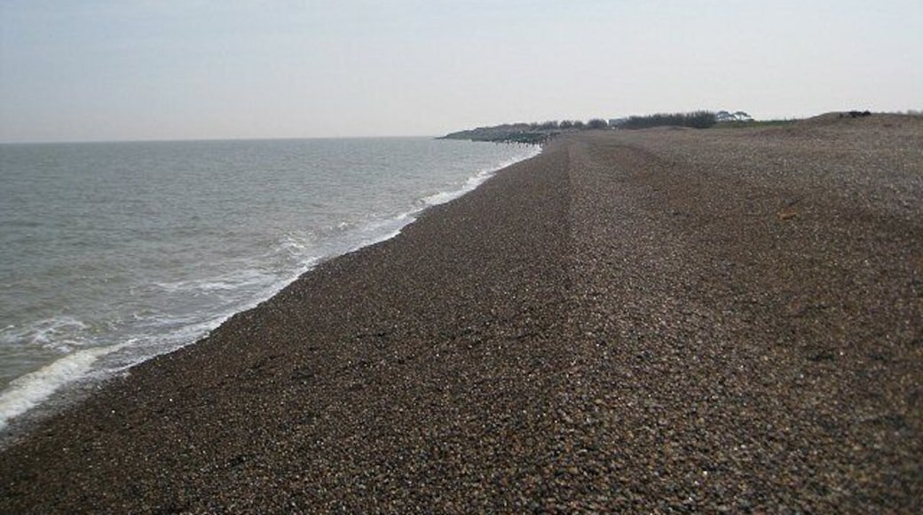 Looking along Bawdsey Beach against the light The headland is covered in sea defences (just visible) but this area of the beach is unspoilt.