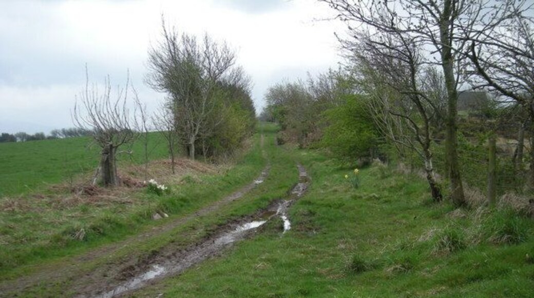 It's a muddy track today