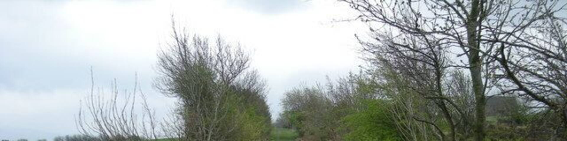 It's a muddy track today