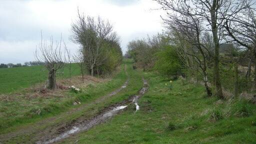 It's a muddy track today